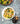 Squash Gnocchi with Kale and Black Truffle Slices