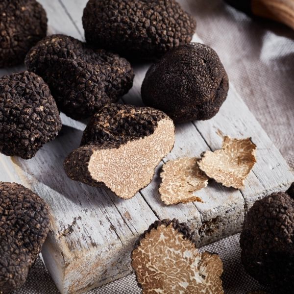 Fresh Autumn Truffles Tuber Uncinatum